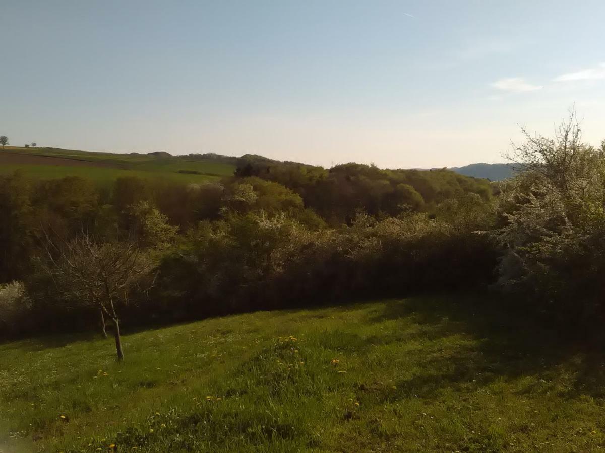 Ferienwohnung Barzen Ralingen Екстер'єр фото