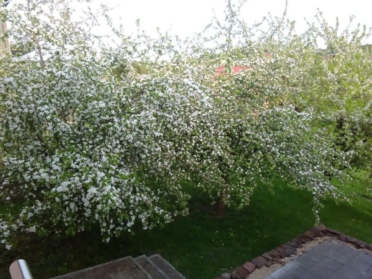 Ferienwohnung Barzen Ralingen Екстер'єр фото